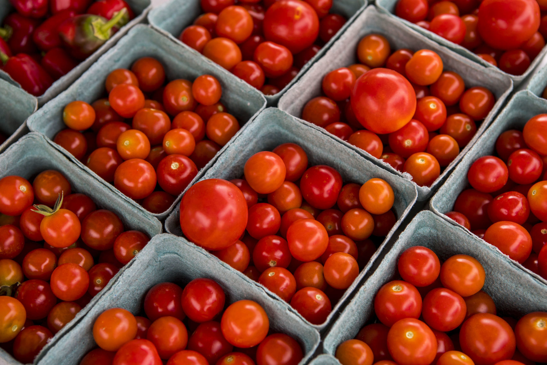 Farmers Market